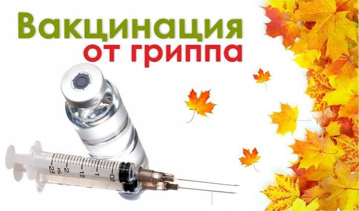 Вакцинация против гриппа в 2026 году
